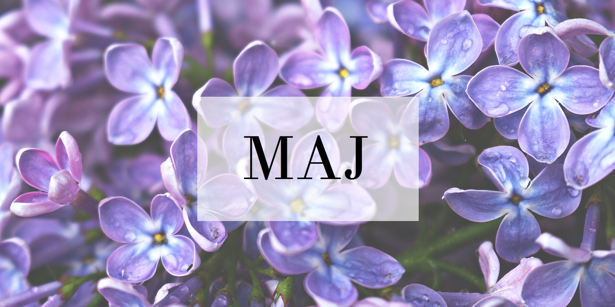 majjjj.jpg