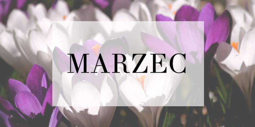 marzeccc.jpg
