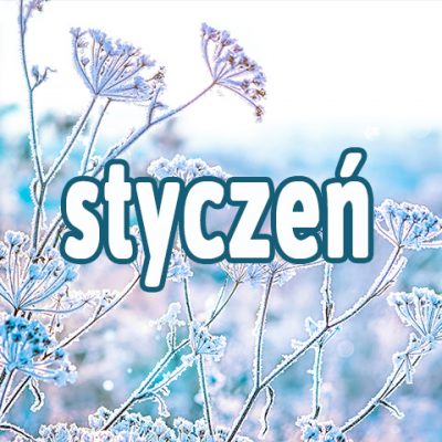 styczenn.jpg